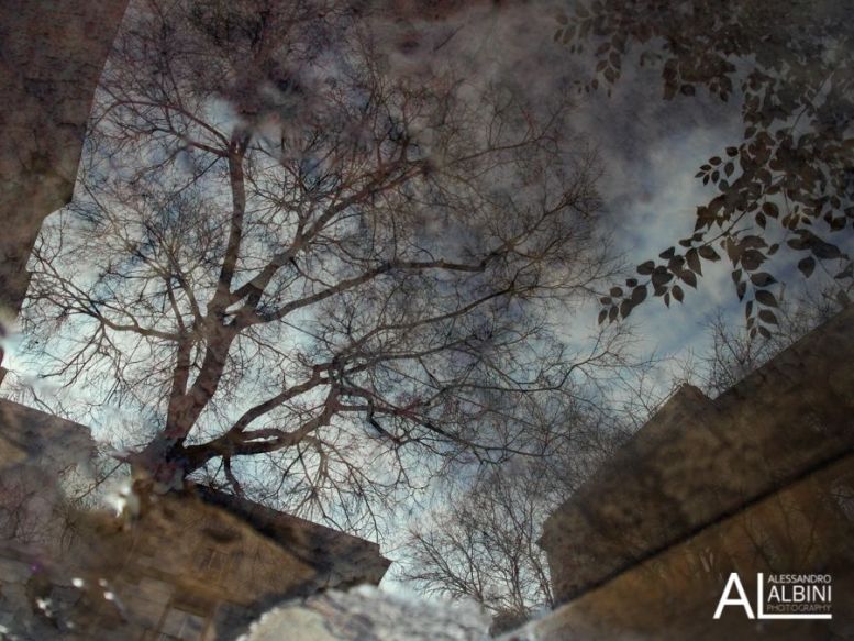 born street photography